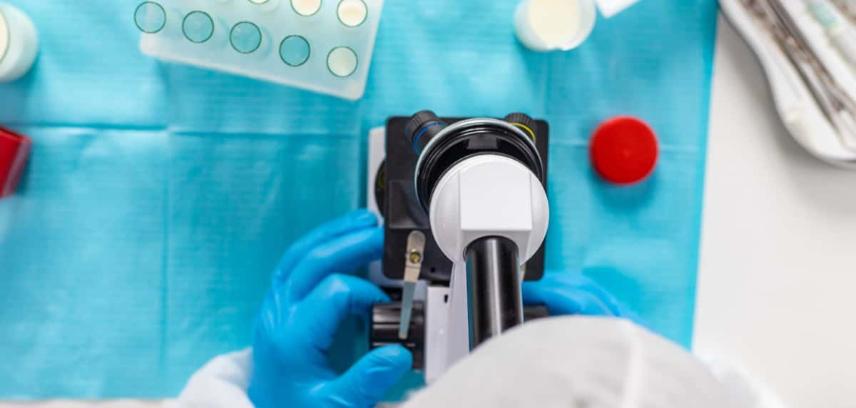 Photobiomodulation-cerebrale-systeme-immunitaire-vielight3